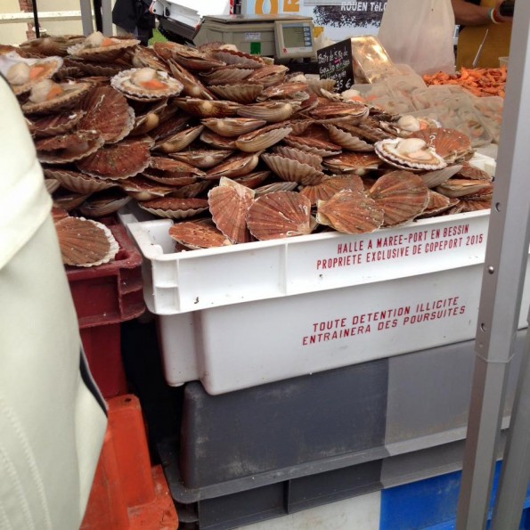 Etale de Coquilles St Jacques